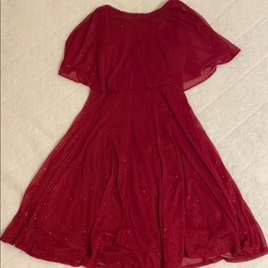 Sparkly Ruby Holiday Dress